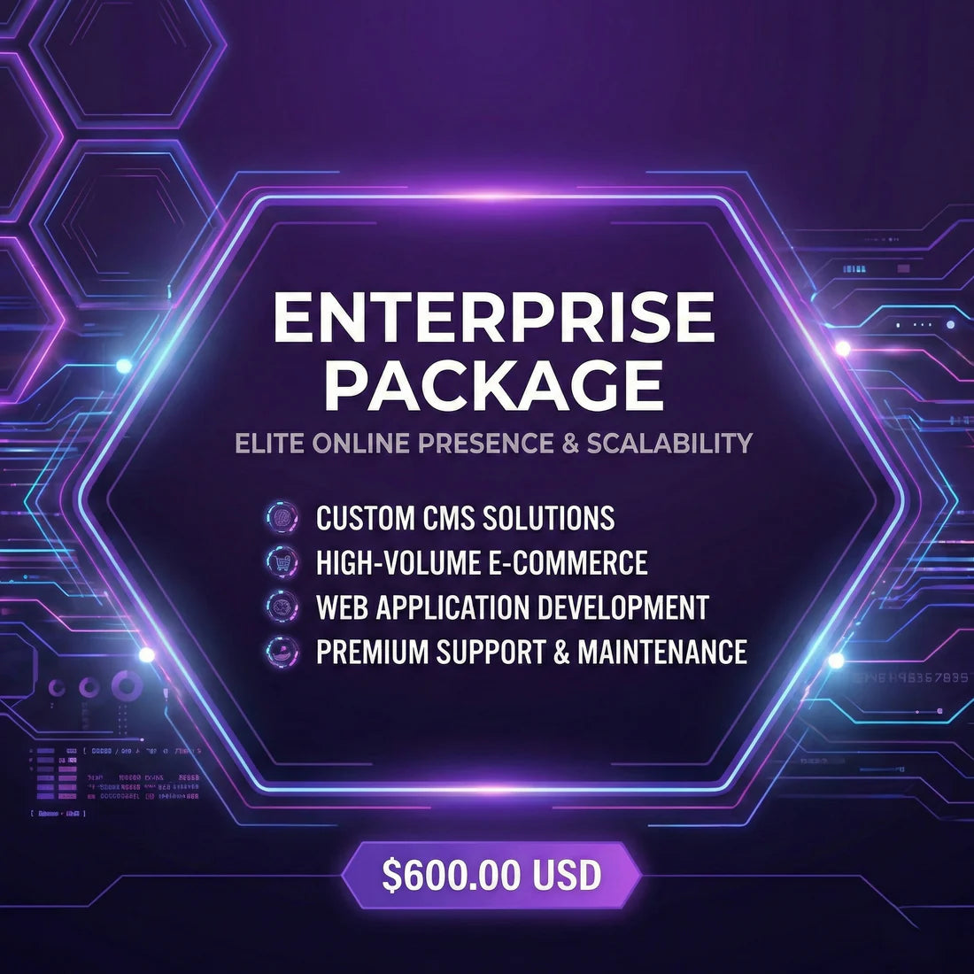 Enterprise Web Design & Development Package